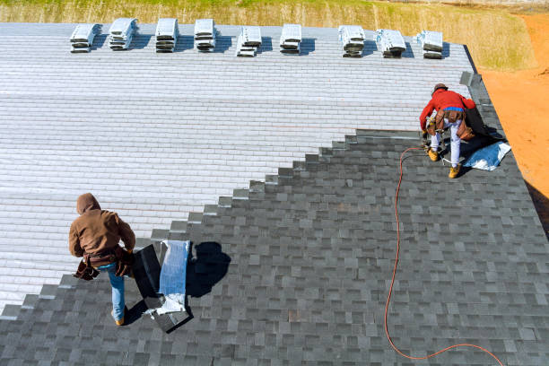 Best New Roof Installation  in Pleasant Ridge, MI