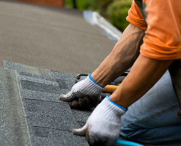 Quick and Trustworthy Emergency Roof Repair Services in Pleasant Ridge, MI